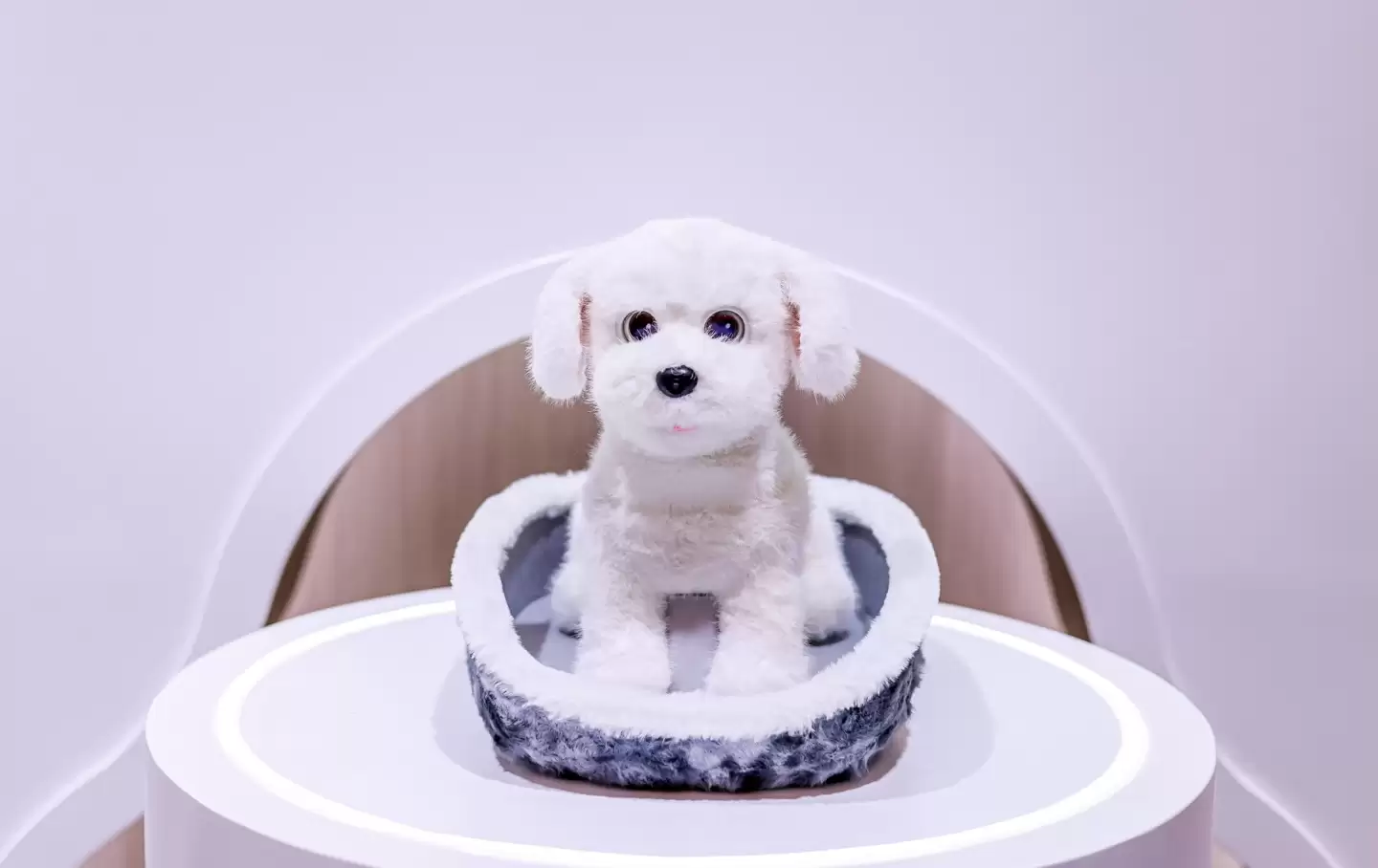 进军具身智能元年：科沃斯全场景服务机器人首秀 AWE2026