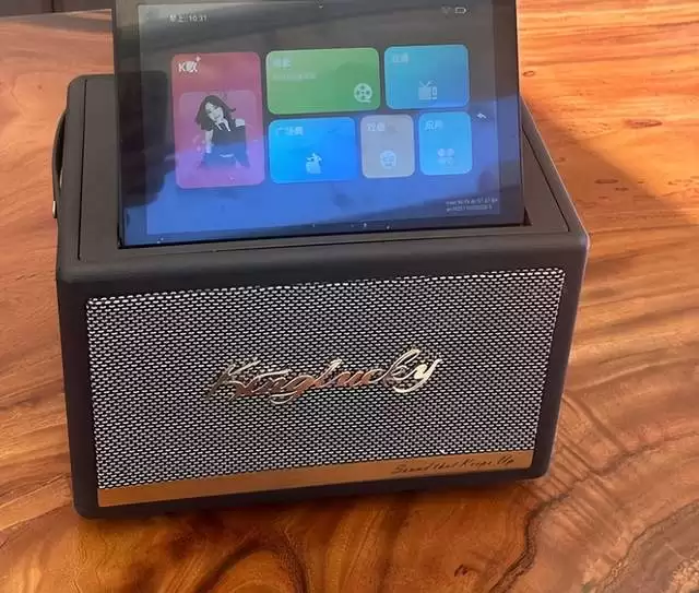 2026 年带屏 K 歌音响推荐：从入门到高配怎么挑不踩雷