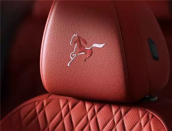 专属中国年元素!26款宝马3系/X3/5系/X5马年版车型上市:31.8万元