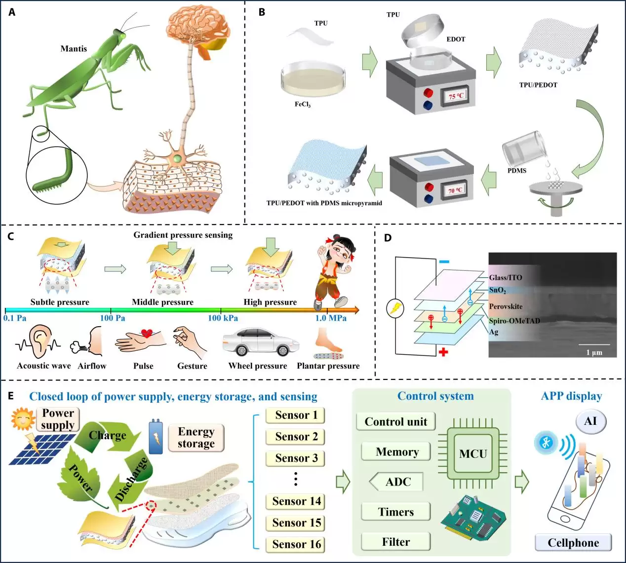 国产“自发电”柔性传感鞋垫看穿疾病预警信号