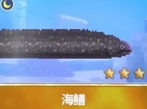 潜水员戴夫海鳝在哪里可以捕捉到？