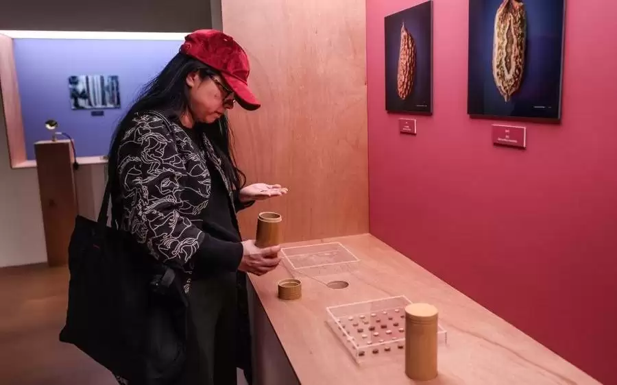 你听见土壤里菌丝在呼吸了吗？上海自然博物馆新展破圈牵手当代艺术